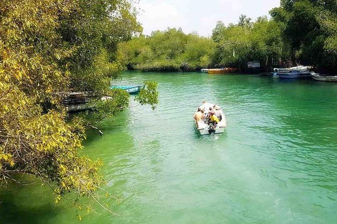 Madu River Safari at Balapitiya - What $23.40 gets you