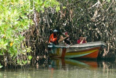 Madu River Safari at Balapitiya