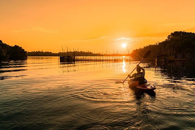 Madu River Sunrise Mangrove Kayaking - Key points before you book
