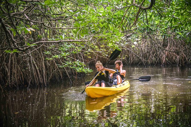 Madu River Sunrise Mangrove Kayaking - Weather, cancellation, and small practical details