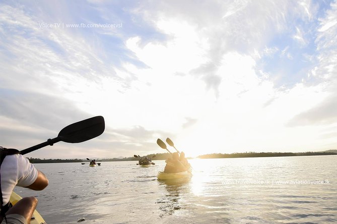Madu River Sunrise Mangrove Kayaking from Bentota - Why a Madu River sunrise is worth the alarm