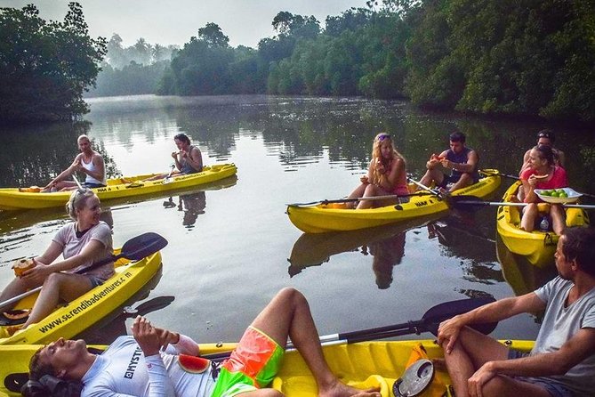 Madu River Sunrise Mangrove Kayaking from Bentota - What the included support means on the water