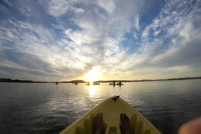 Madu River Sunrise Mangrove Kayaking from Bentota - Fresh fruit, king coconut, and no full breakfast