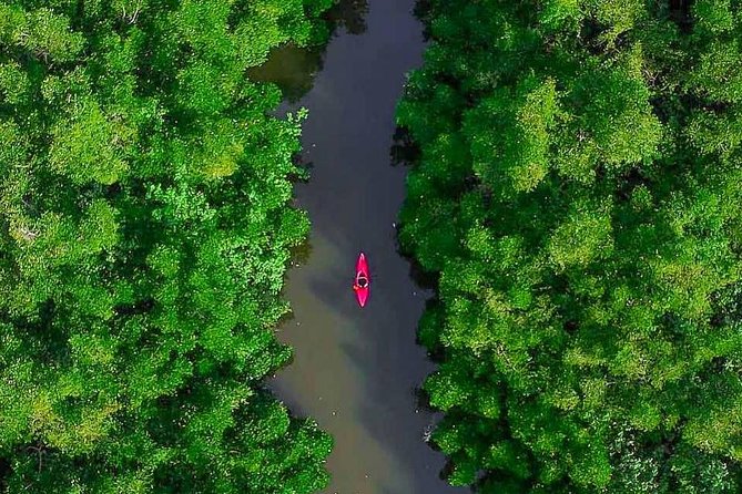 Madu River Sunrise Mangrove Kayaking from Bentota - Is $125 a fair price?