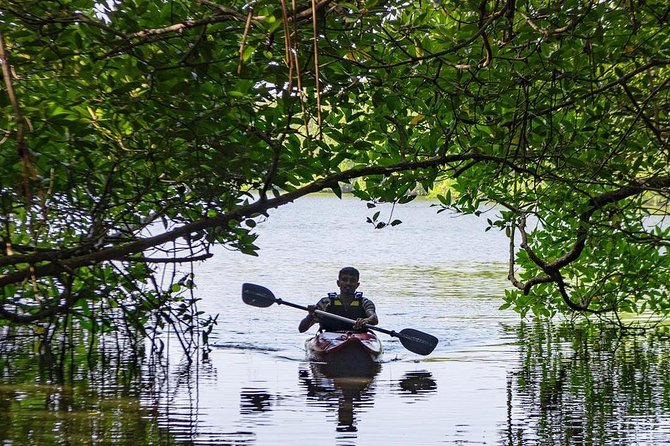 Madu River Sunrise Mangrove Kayaking from Bentota - Who will enjoy this most