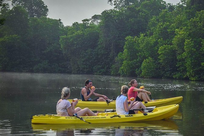 Madu River Sunrise Mangrove Kayaking from Bentota - Weather, cancellation, and practical planning