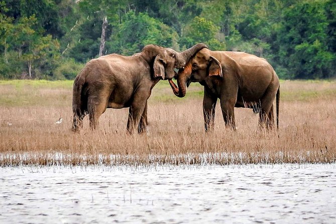Maduru Oya National Park Private Safari with Naturalist - A quieter alternative to Sri Lanka’s famous parks