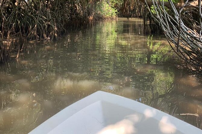 Mangrove Adventure - Weather, timing, and cancellation