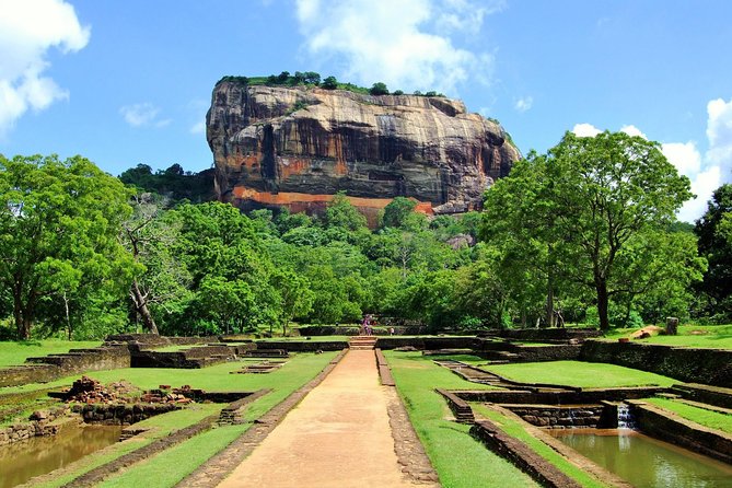 Minneriya Elephant Safari wth Sigiriya Lion Rock from Colombo - What the Minneriya portion is worth