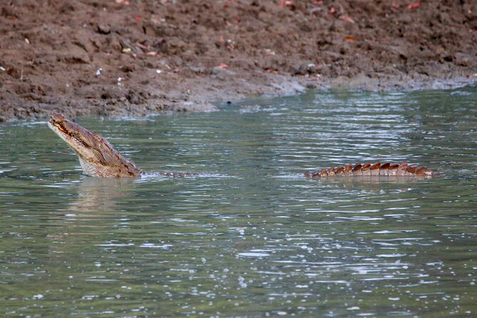 Minneriya Half Day Safari - The wildlife you may see beyond elephants