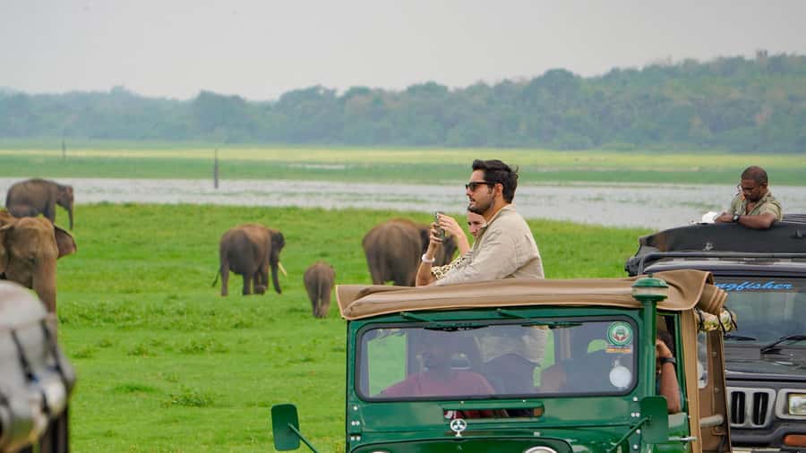 Minneriya: Minneriya National Park Private Evening Safari - Inside the private safari jeep