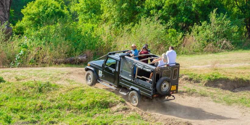 Minneriya: Minneriya National Park Private Safari - Who will get the most from this safari