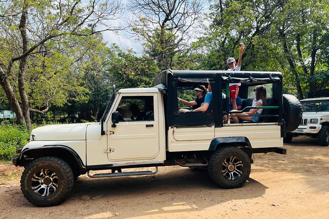 Minneriya National Park Elephant Safari from Sigiriya - Who will enjoy this safari most?