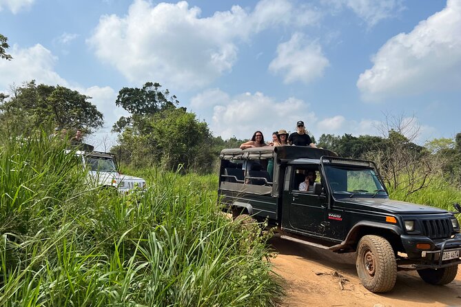Minneriya National Park Elephant Safari from Sigiriya - Practical advice before you go