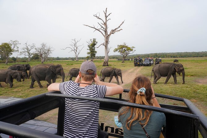 Minneriya National Park Half Day Elephant Safari - The Minneriya Tank and Open Grassland