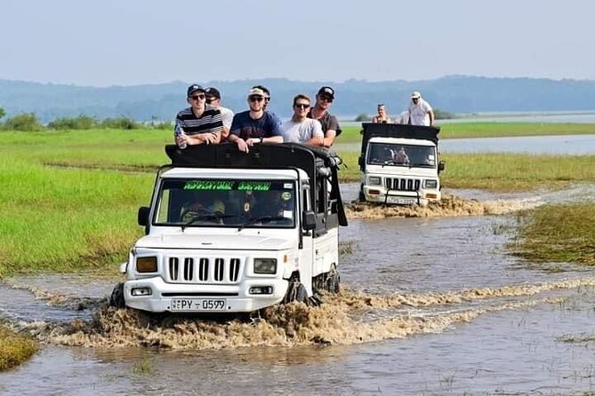 Minneriya National Park halfday Safari - Why the choice of park matters