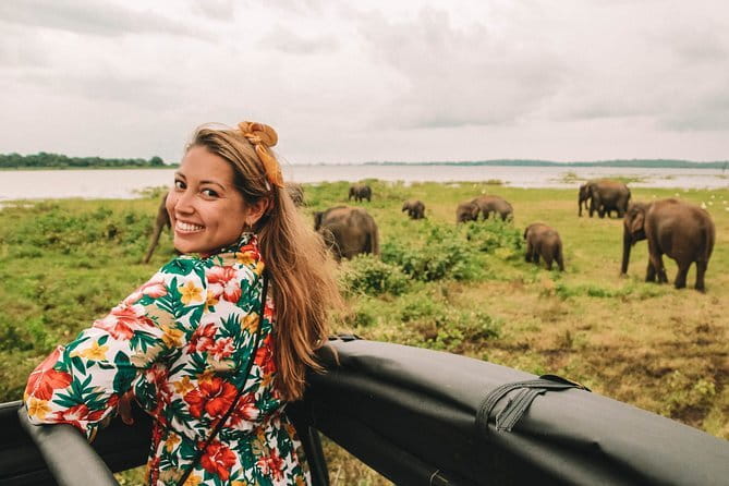 Minneriya National Park | Private Safari - What is included for the $25 price