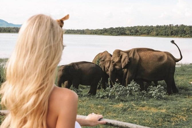 Minneriya National Park : Private Safari - The 2:30 pm start and pickup arrangements