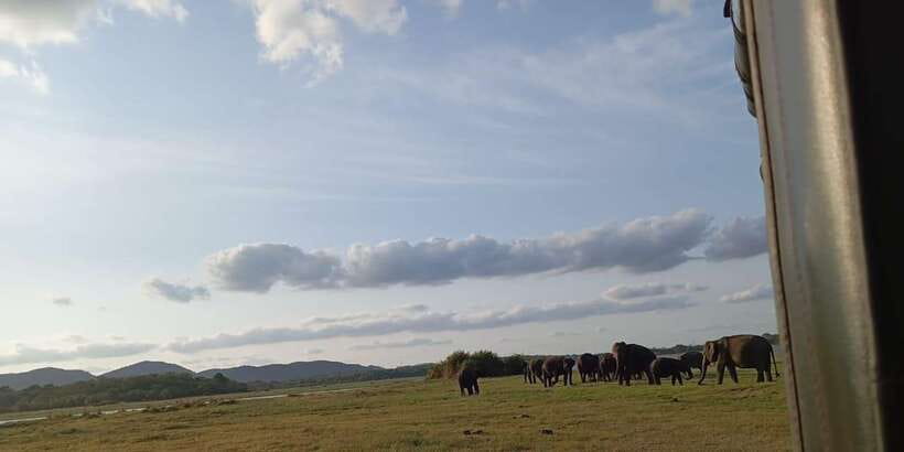 Minneriya National Park Safari - Entrance Fee Included - Entering Minneriya National Park by 4x4