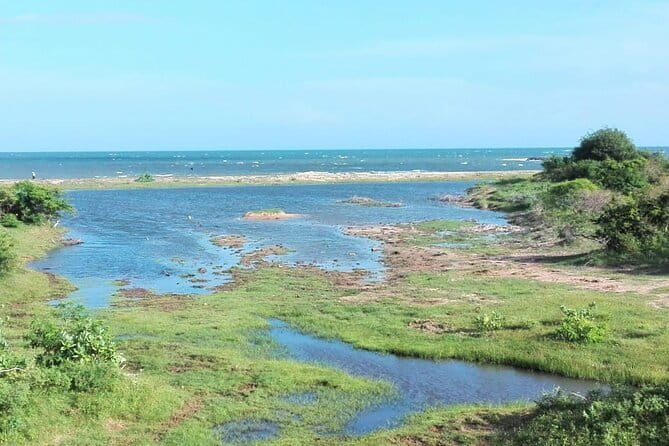 Minneriya National Park Safari | Jeep with Tickets - Why the Elephant Gathering is the main event