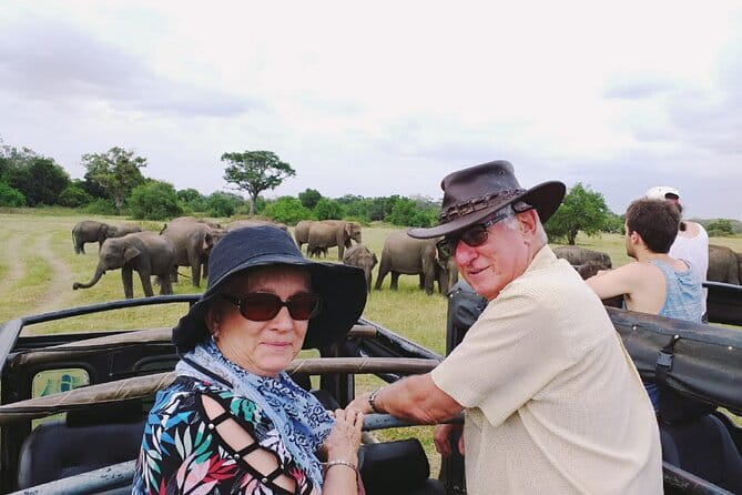 Minneriya National Park Safari [private , full package] - Pickup, meeting point, and the value of included transport