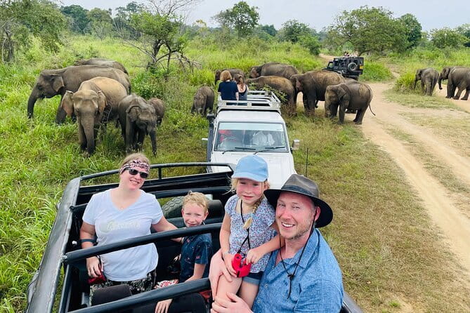Minneriya National Park Safari - Private Jeep with Hotel Pickup - Key points to know before booking