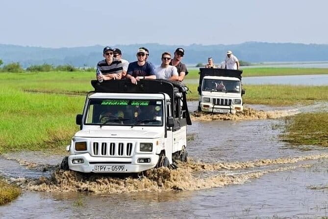 Minneriya National Park Safari - Private Jeep with Hotel Pickup - Is $25 a good deal after the entrance fee?
