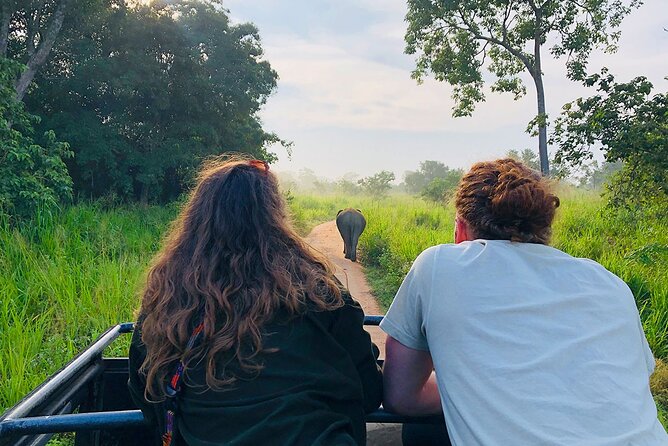 Minneriya National park Safari Sri Lanka - Watching elephants without rushing them