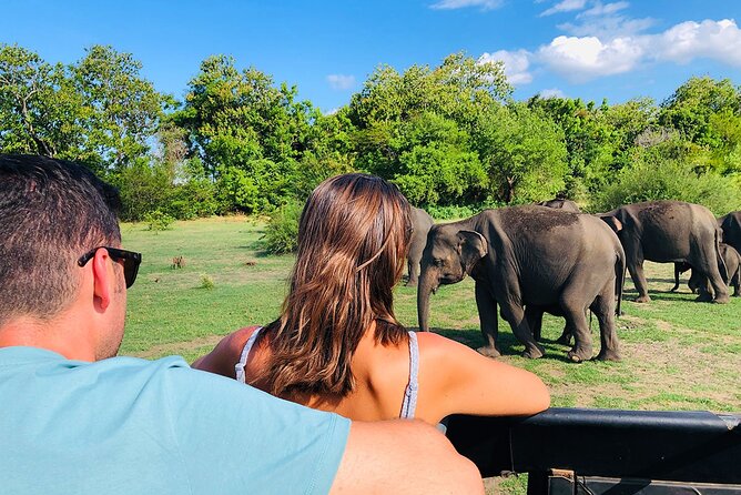 Minneriya National park Safari Sri Lanka - What else you might see