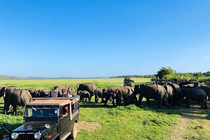 Minneriya National park Safari Sri Lanka - Starting in Habarana and reaching the park