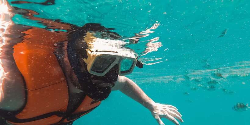 Mirissa: Snorkeling Experience with Turtles - Key points at a glance