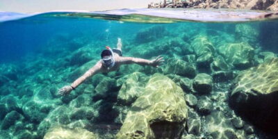 Snorkeling Experience with Turtles