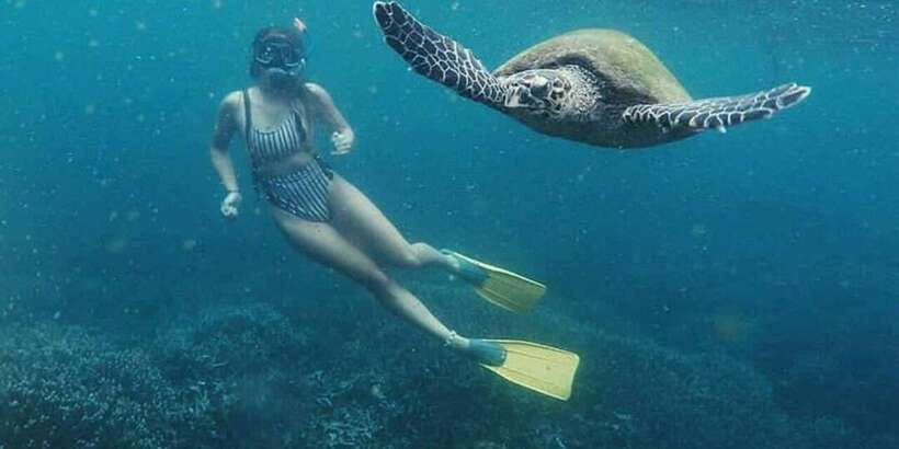 Mirissa: Snorkeling Experience with Turtles - Fish, coral, rays, and the smaller surprises