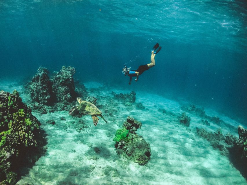 Mirissa: Snorkeling Experience with Turtles - Is $29 a fair price?