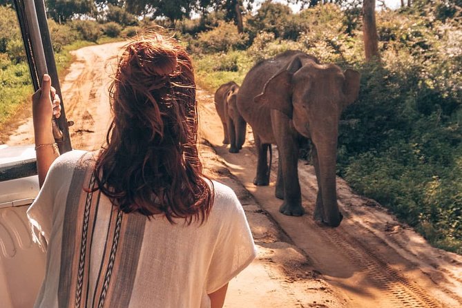 Mirissa to Ella Shuttle & Udawalawe Safari Drive with Breakfast - What the tracker adds to the safari