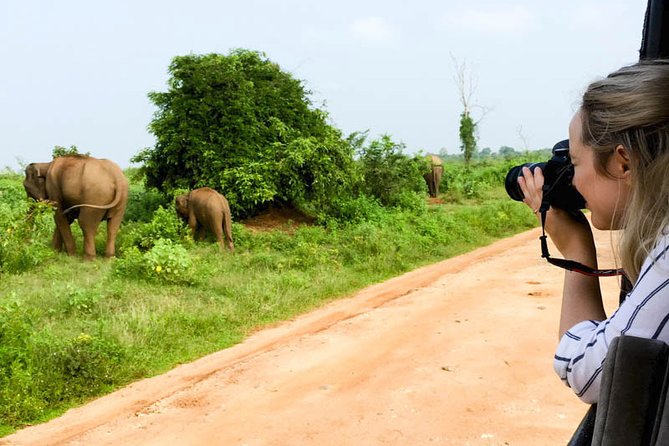 Mirissa to Ella Shuttle & Udawalawe Safari Drive with Breakfast - The onward ride to Ella, Haputale, or Bandarawela