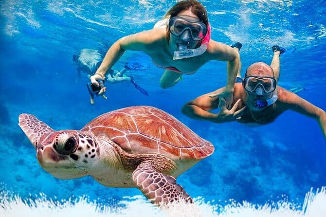 Mirissa Unforgettable Snorkeling Experience with Turtles - Key points to know before booking