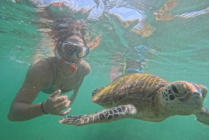 Mirissa Unforgettable Snorkeling Experience with Turtles - What the Mirissa turtle trip is really about