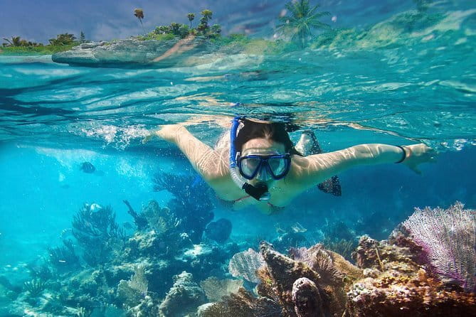 Mirissa Unforgettable Snorkeling Experience with Turtles - Finding turtles in Mirissa’s coastal water