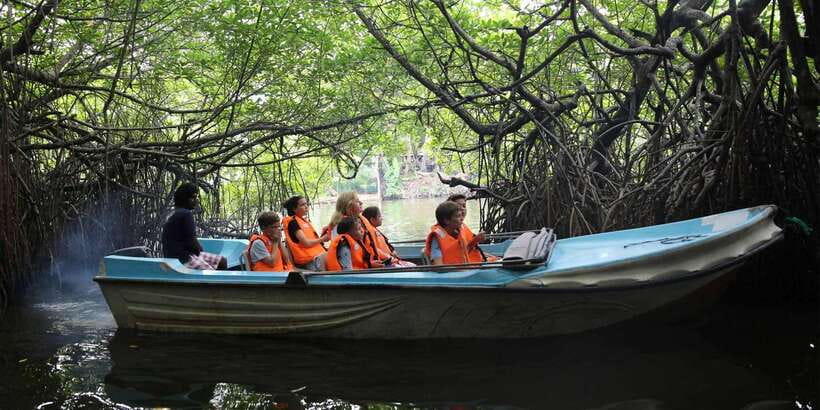 Mirissa/Weligama/Galle: Galle & Bentota Coastal Day Tour - FAQ