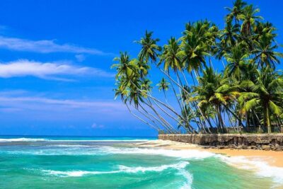 Mirissa/Weligama to Colombo Airport Private Taxi Transfer