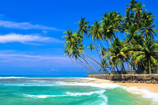 Mirissa/Weligama to Colombo Airport Private Taxi Transfer - Why a private taxi can be worth $58