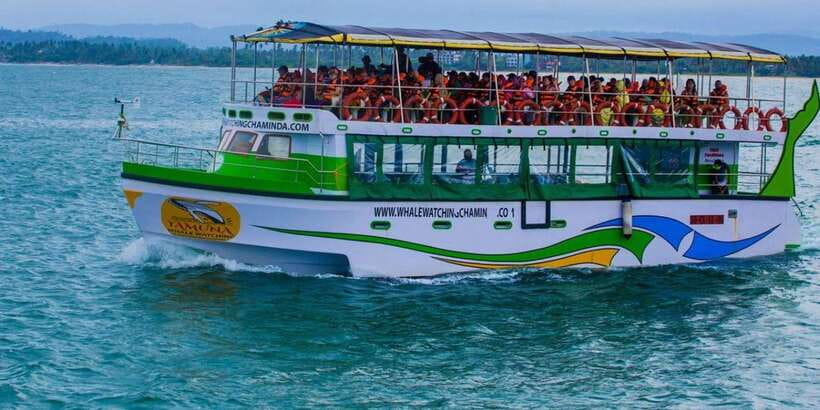 Mirissa: Whale & Dolphin Watching Cruise with Breakfast - FAQ