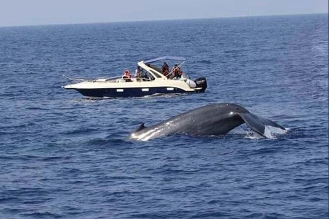 Mirissa Whale & Dolphin Watching Cruise with Geeth’s Crew - Pickup areas and the cost of convenience
