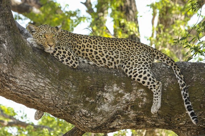 Morning 07 Hour Private Safari at Yala National Park by Yala La Safari Tours - Weather, cancellation, and planning details