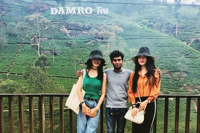 Most Popular Round Tour in Sri Lanka - Day five: the Nanuoya to Ella train