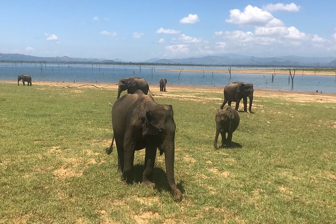 Multi Day Private Tour Around Sri Lanka with our Personal Driver - What this nine-day Sri Lanka tour is really offering