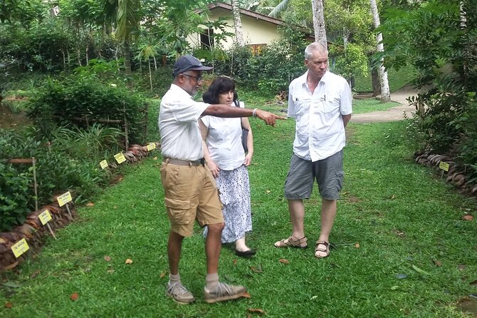 Nandana Tea Walking Tour in Sri Lanka - Add the banana-leaf meal if you have time