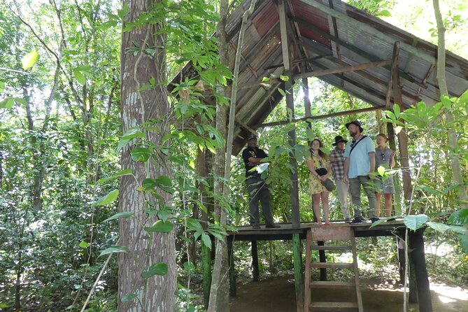 Nandana Tea Walking Tour in Sri Lanka - The family welcome is part of the value