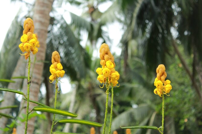 Nandana Tea Walking Tour in Sri Lanka - Who will get the most from this visit